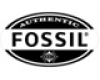 Fossil Fossil